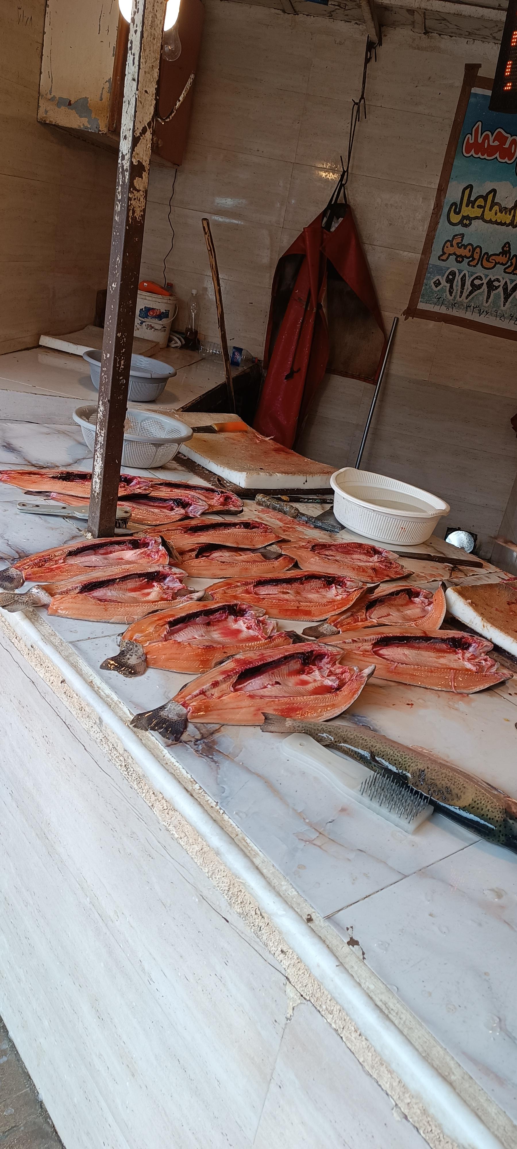 عکس بازارچه ماهی شب خرمشهر