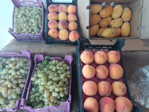 عکس میوه و صیفی جات سپاهان