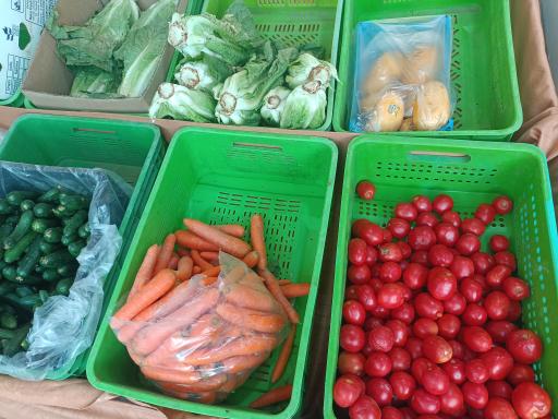 عکس میوه و صیفی جات سپاهان