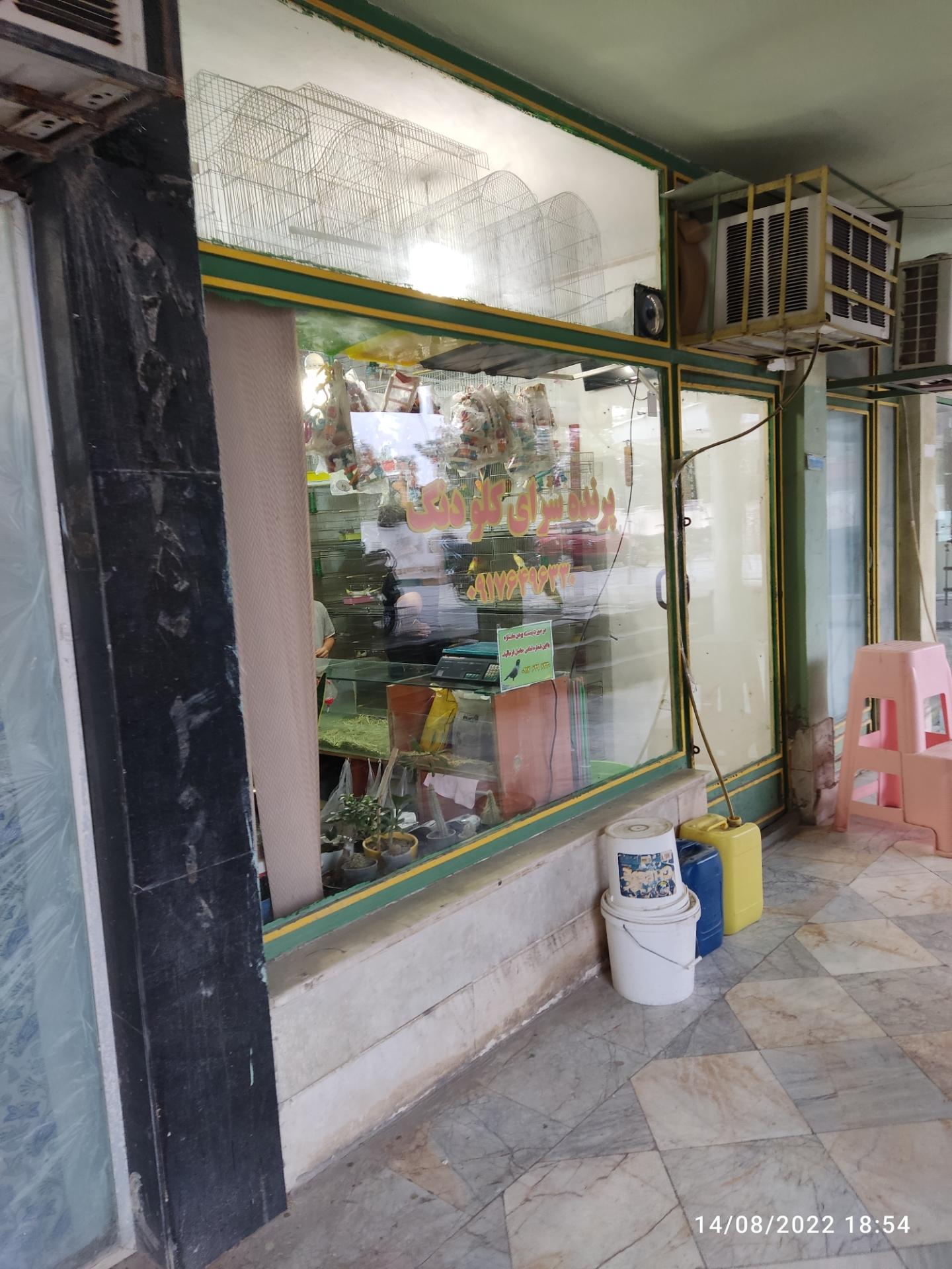 عکس پرنده سرای کلودنگ