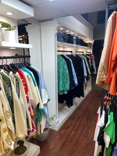 عکس گالری نبات 