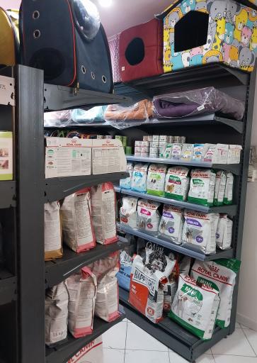 کلینیک دامپزشکی و پت شاپ پوما