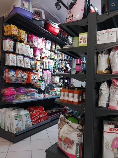 کلینیک دامپزشکی و پت شاپ پوما