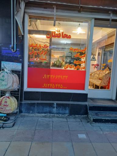 عکس سیستمهای حفاظتی محافظان