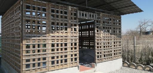 عکس باغچه فیروزه