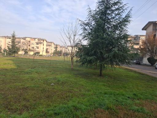 عکس پارک ابریشم