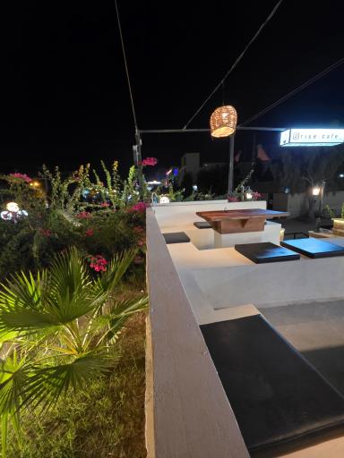 عکس کافه رایز