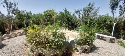 عکس باغچه فیروزه