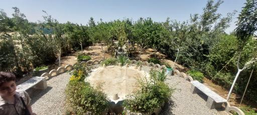 عکس باغچه فیروزه