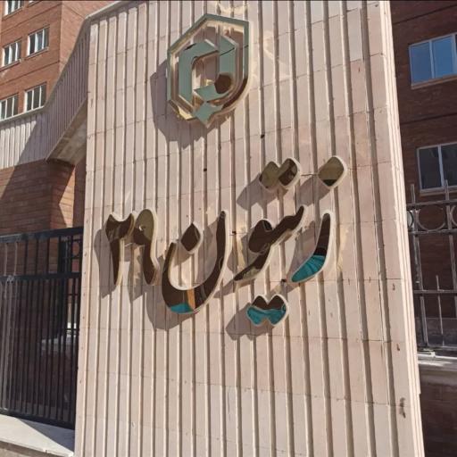 عکس زیتون 29