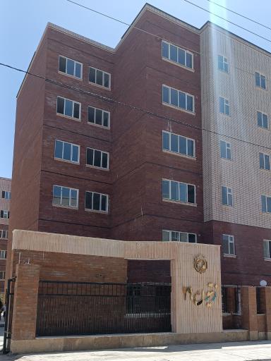 عکس زیتون 29