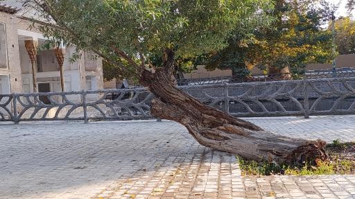 عکس منطقه گردشگری چشمه علی دامغان