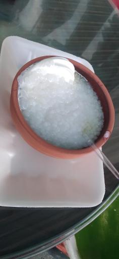 عکس بستنی ایتالیایی ژلینو