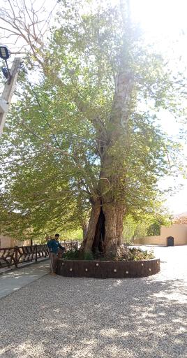 عکس منطقه گردشگری چشمه علی دامغان