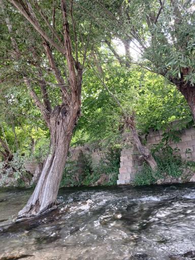 عکس منطقه گردشگری چشمه علی دامغان
