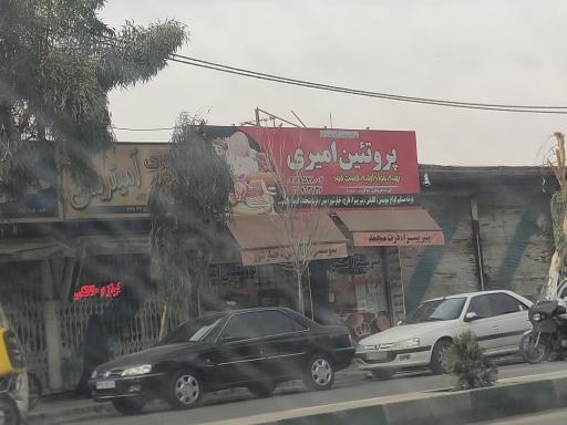 پروتئین امیری 