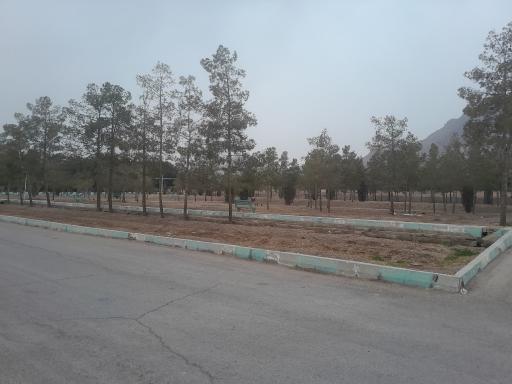 عکس پارک جنگلی