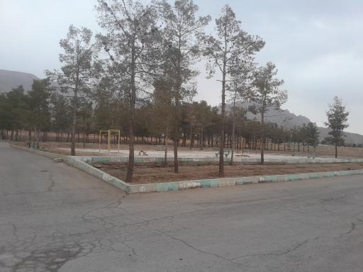 عکس پارک جنگلی