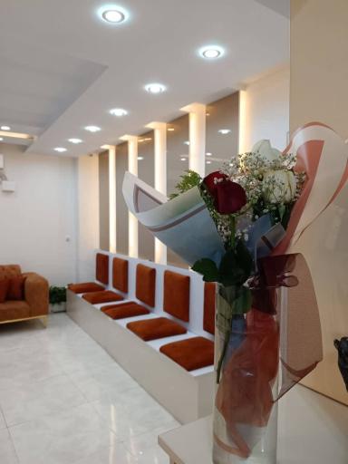 عکس دندانپزشکی تخصصی دیجیتال دکتر رویا حامدی