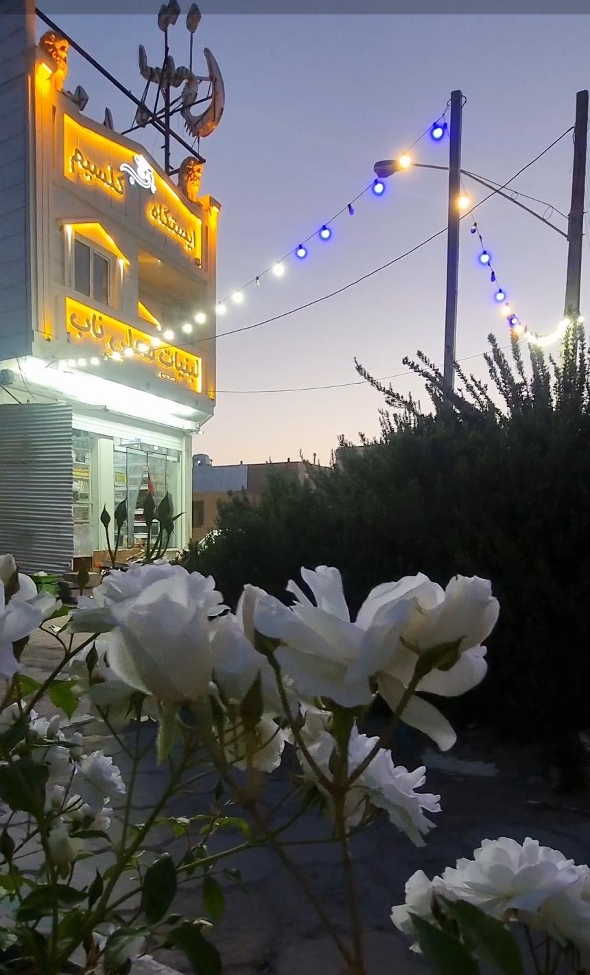 عکس ایستگاه کلسیم ناب