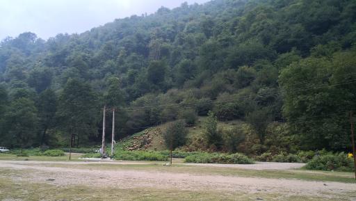 عکس جنگل چمستان