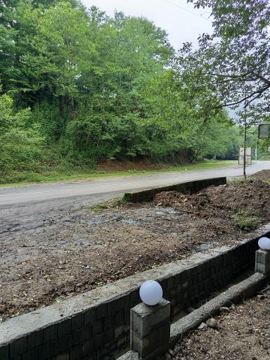 عکس جنگل چمستان