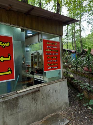 عکس جنگل چمستان