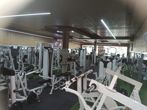 عکس باشگاه بدنسازی داتیس 