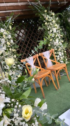 عکس باغ عقد ناظری