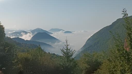 عکس جنگل چمستان