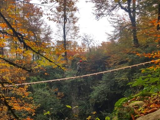 عکس زیپ لاین نمک آبرود