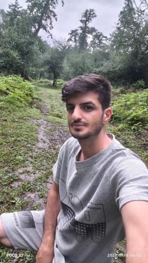 عکس جنگل چمستان