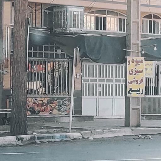 عکس میوه و سبزی فروشی ربیع