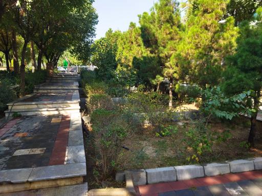 عکس بوستان بعثت