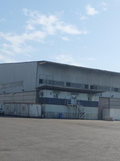 عکس سی اف اس جدید