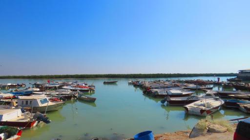 تعمیرگاه قایق و بلم