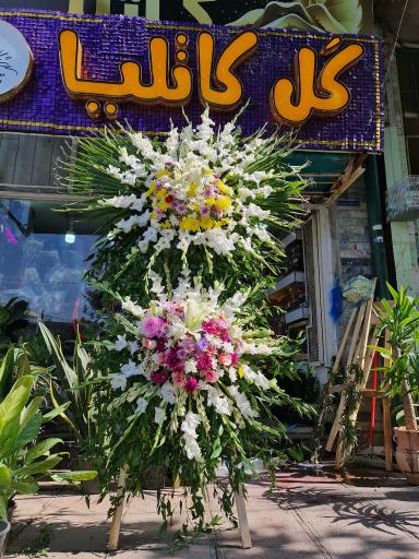 عکس گلفروشی کاتلیا 