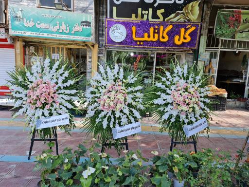 عکس گلفروشی کاتلیا 
