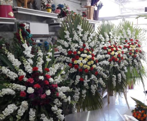 عکس گلفروشی کاتلیا 