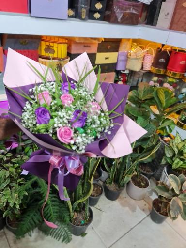 عکس گلفروشی کاتلیا 