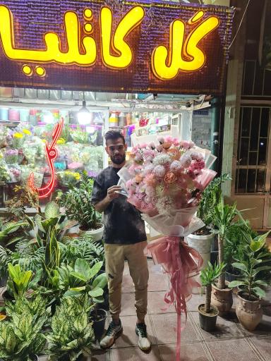 عکس گلفروشی کاتلیا 