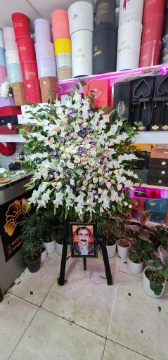 عکس گلفروشی کاتلیا 