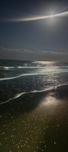 عکس ساحل شنی طلایی رامسر