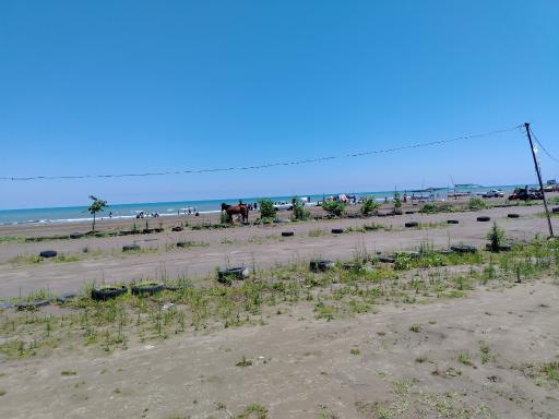 عکس ساحل شنی طلایی رامسر