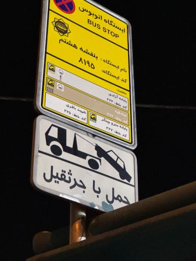 عکس بنفشه هشتم