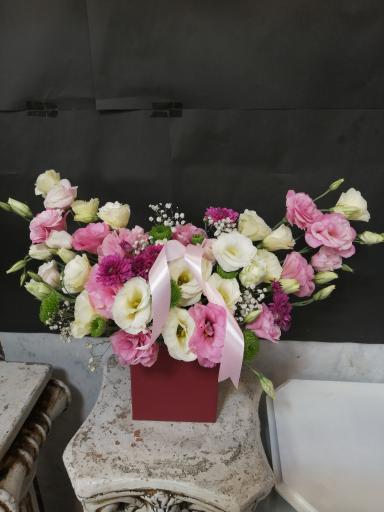 عکس گل آی سو