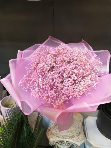 عکس گل آی سو