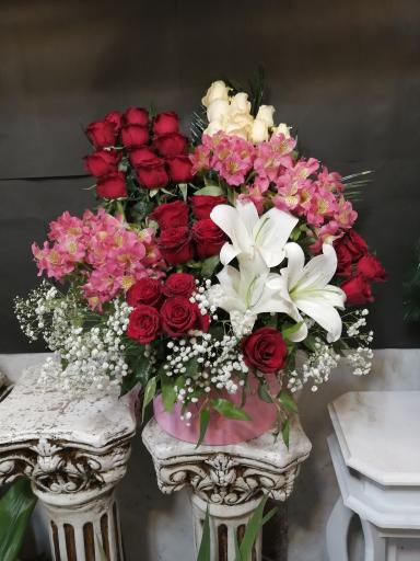 عکس گل آی سو