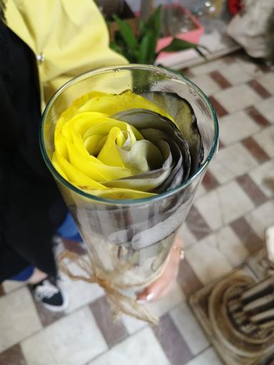 عکس گل آی سو