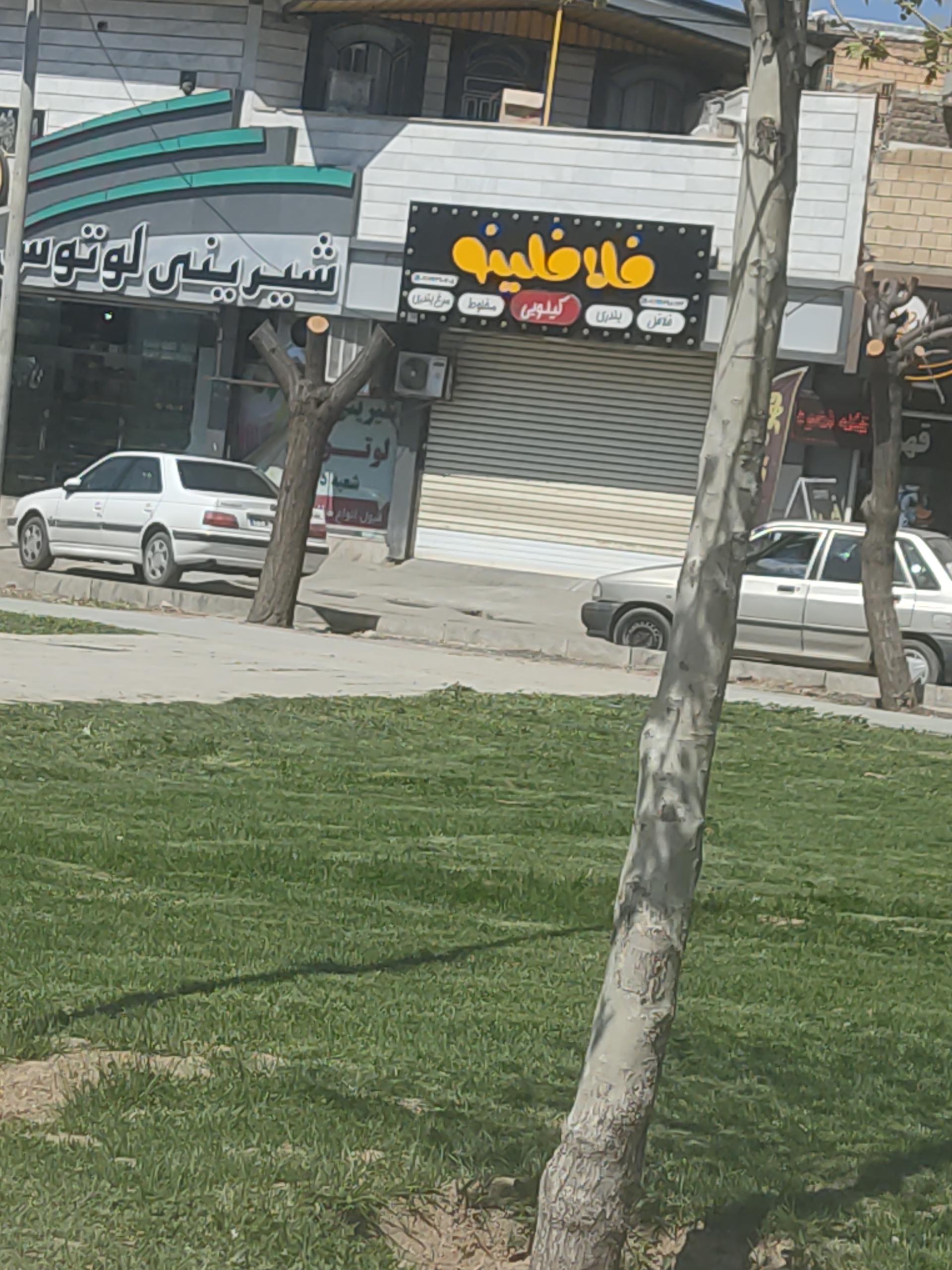 عکس فلافلینو